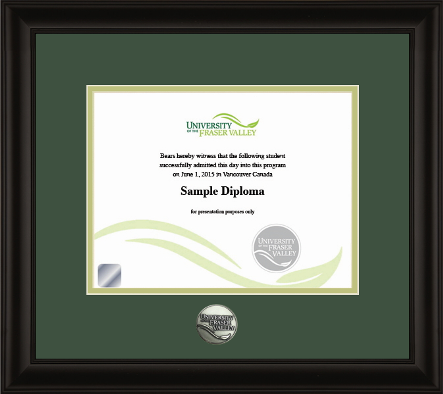 Satin black hardwood diploma frame with custom minted medallion (120900)